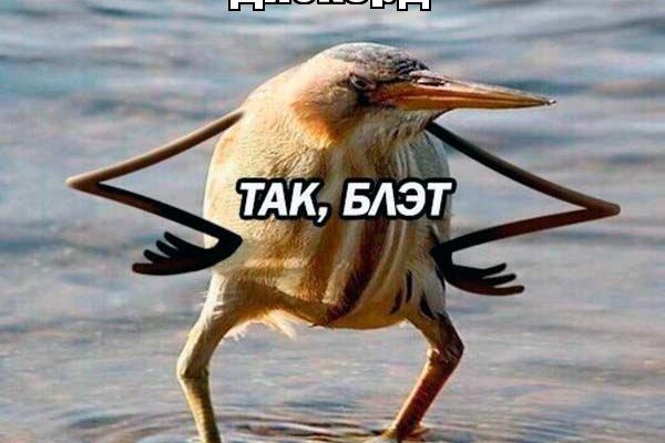 Кракен даркнет поддержка