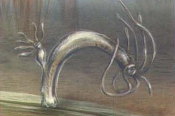 Kra27cc